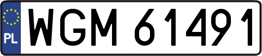 WGM61491