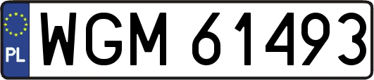 WGM61493