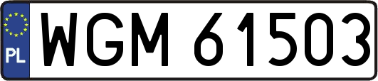 WGM61503