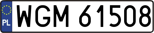 WGM61508