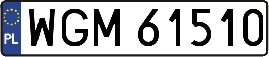 WGM61510