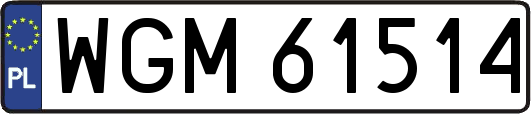 WGM61514