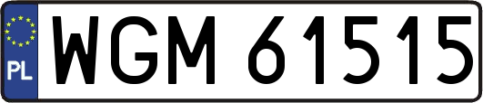 WGM61515