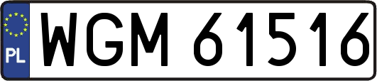 WGM61516