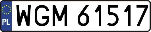WGM61517