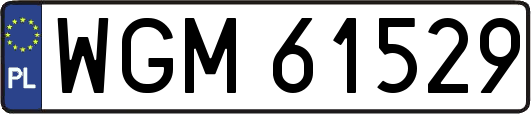 WGM61529