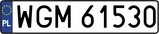 WGM61530