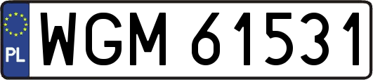 WGM61531
