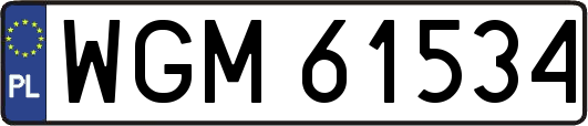 WGM61534