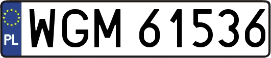 WGM61536