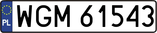 WGM61543
