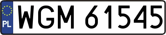 WGM61545