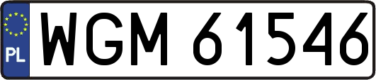 WGM61546
