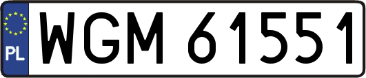 WGM61551
