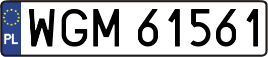 WGM61561