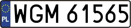 WGM61565