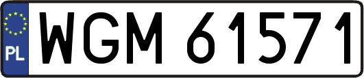 WGM61571