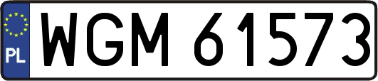 WGM61573