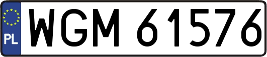 WGM61576
