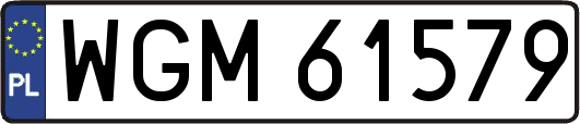 WGM61579