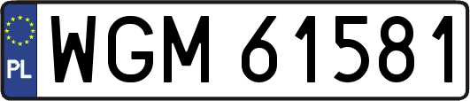 WGM61581
