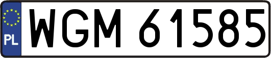 WGM61585