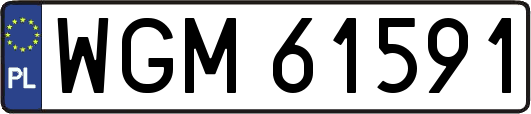 WGM61591
