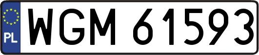 WGM61593