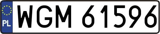 WGM61596