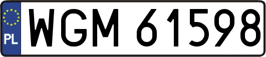 WGM61598