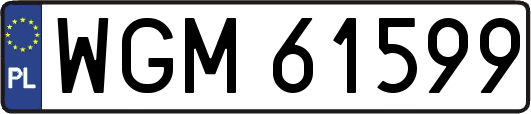WGM61599