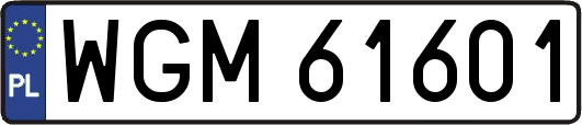 WGM61601