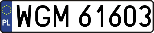 WGM61603