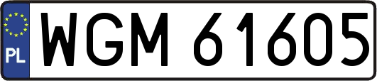 WGM61605