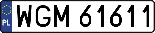 WGM61611