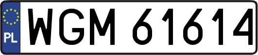 WGM61614
