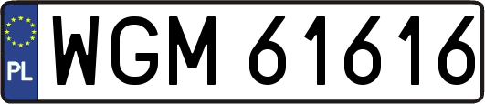 WGM61616