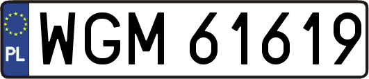 WGM61619