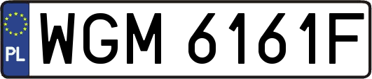 WGM6161F