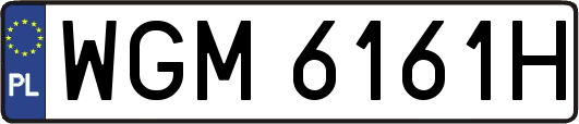 WGM6161H