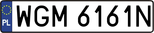 WGM6161N