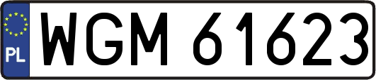 WGM61623