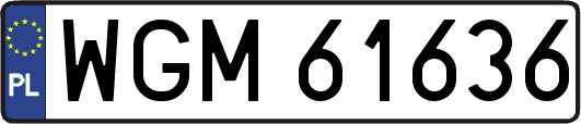 WGM61636