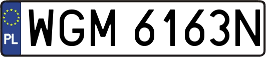 WGM6163N