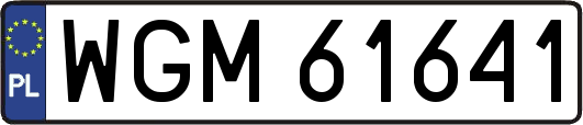 WGM61641