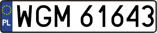 WGM61643