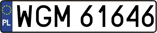 WGM61646