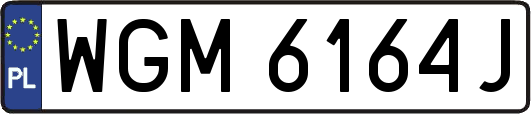 WGM6164J