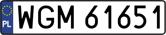 WGM61651