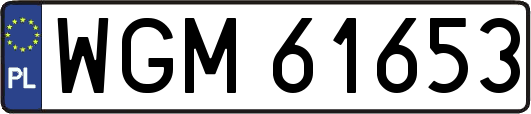 WGM61653